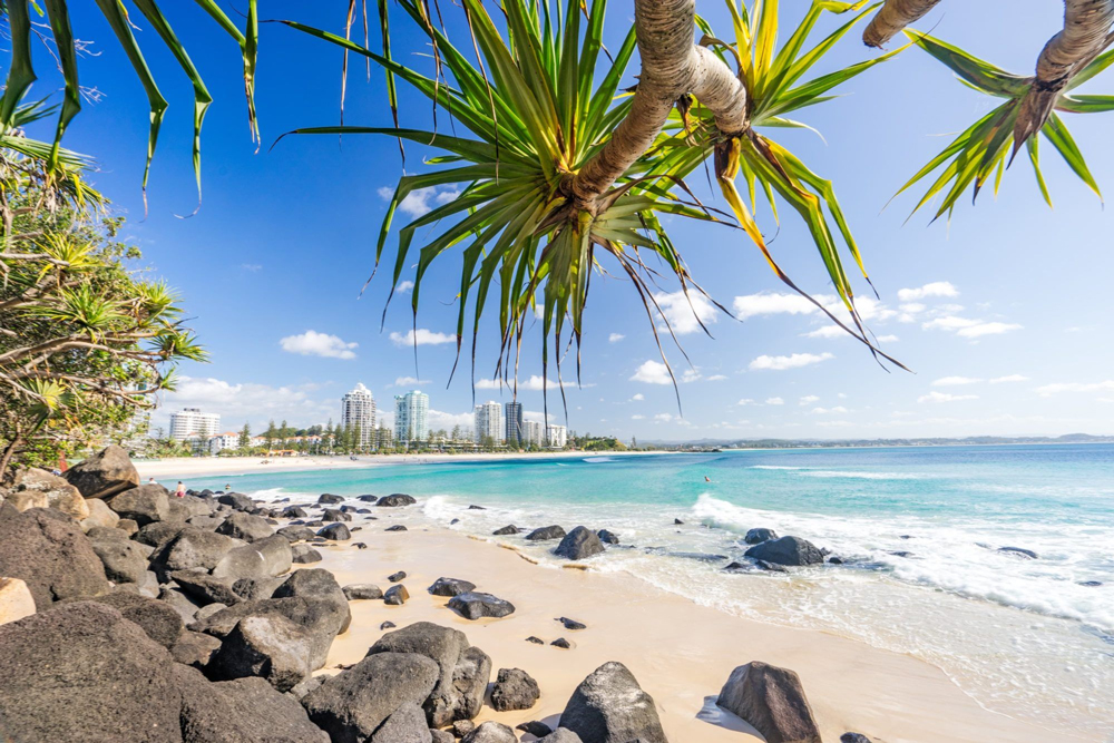 Google Ads Management Gold Coast